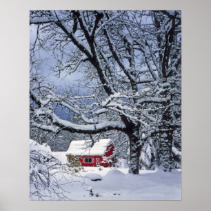 USA, Oregon, Clackamas County. Fresh snow covers Poster