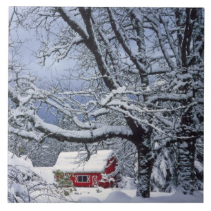 USA, Oregon, Clackamas County. Fresh snow covers Tile