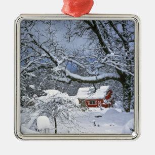 USA, Oregon, Clackamas County. Fresh snow Metal Ornament