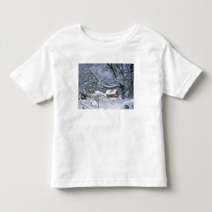 USA, Oregon, Clackamas County. Fresh snow Toddler T-shirt