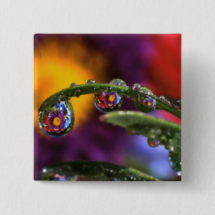 USA, Oregon, Close-up abstract of purple 2 Inch Square Button