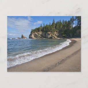 USA, Oregon, coastline Postcard