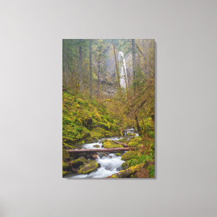 USA, Oregon, Columbia Gorge Canvas Print