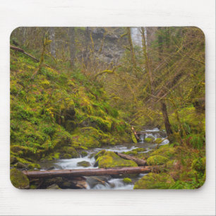 USA, Oregon, Columbia Gorge Mouse Pad