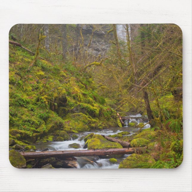 USA, Oregon, Columbia Gorge Mouse Pad (Front)