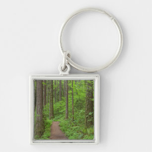 USA, Oregon, Columbia River Gorge. Elowah Falls Keychain