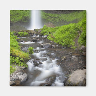 USA, Oregon, Columbia River Gorge, Latourell Magnet