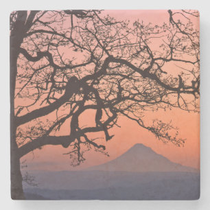USA, Oregon, Columbia River Gorge National 2 Stone Coaster
