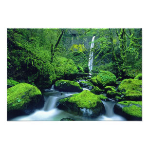 USA, Oregon, Columbia River Gorge National 3 Photo Print