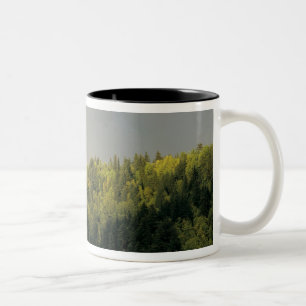 USA, Oregon, Columbia River Gorge National Two-Tone Coffee Mug
