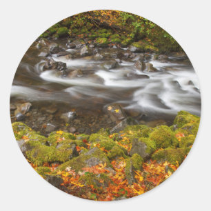 USA, Oregon, Columbia River Gorge, Tanner Creek 2 Classic Round Sticker