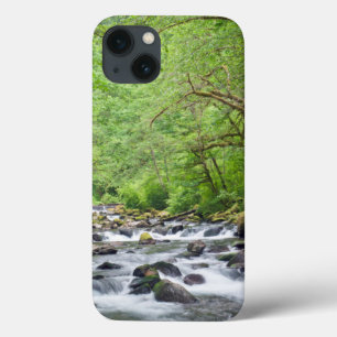 USA, Oregon, Columbia River Gorge, Tanner Creek 4 iPhone 13 Case