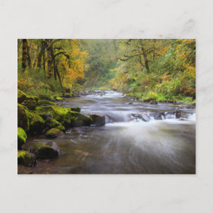 USA, Oregon, Columbia River Gorge, Tanner Creek Postcard