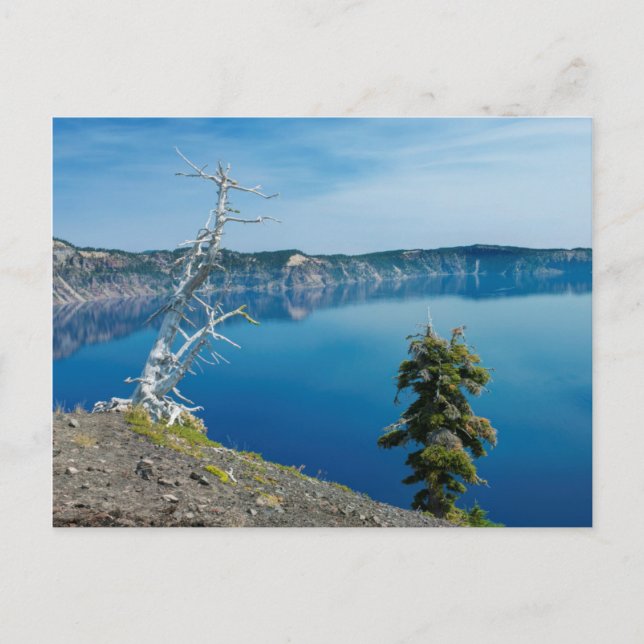 USA, Oregon, Crater Lake National Park 4 Postcard (Front)