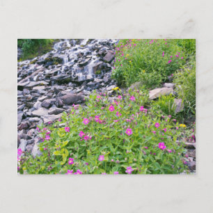 USA, Oregon, Crater Lake National Park Postcard