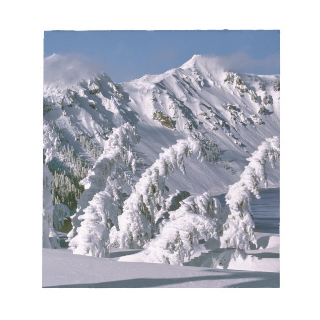 USA, Oregon, Crater Lake NP. Trees bow under the Notepad (Front)