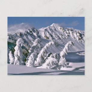 USA, Oregon, Crater Lake NP. Trees bow under the Postcard