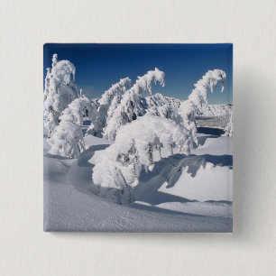 USA, Oregon, Crater Lake NP. Trees droop under a 2 Inch Square Button