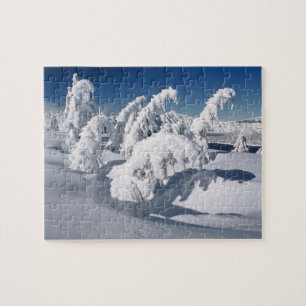 USA, Oregon, Crater Lake NP. Trees droop under a Jigsaw Puzzle