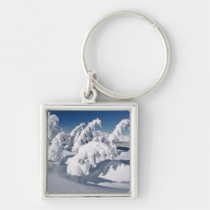 USA, Oregon, Crater Lake NP. Trees droop under a Keychain