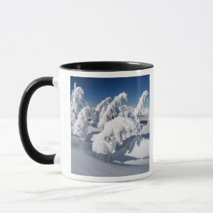USA, Oregon, Crater Lake NP. Trees droop under a Mug