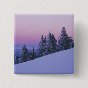 USA, Oregon, Deschutes National Forest, Dusk 2 Inch Square Button