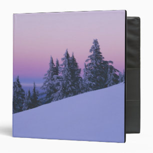 USA, Oregon, Deschutes National Forest, Dusk Binder