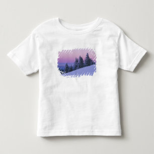 USA, Oregon, Deschutes National Forest, Dusk Toddler T-shirt