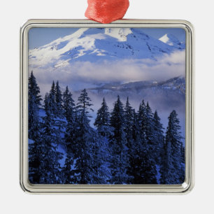 USA, Oregon, Deschutes National Forest, South Metal Ornament