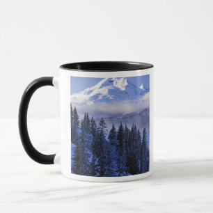 USA, Oregon, Deschutes National Forest, South Mug