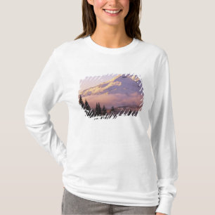 USA, Oregon, Deschutes National Forest, The T-Shirt