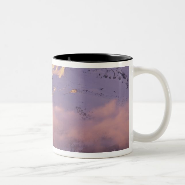 USA, Oregon, Deschutes National Forest, The Two-Tone Coffee Mug (Right)