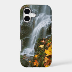 USA, Oregon, Fairy Falls, Columbia River Gorge