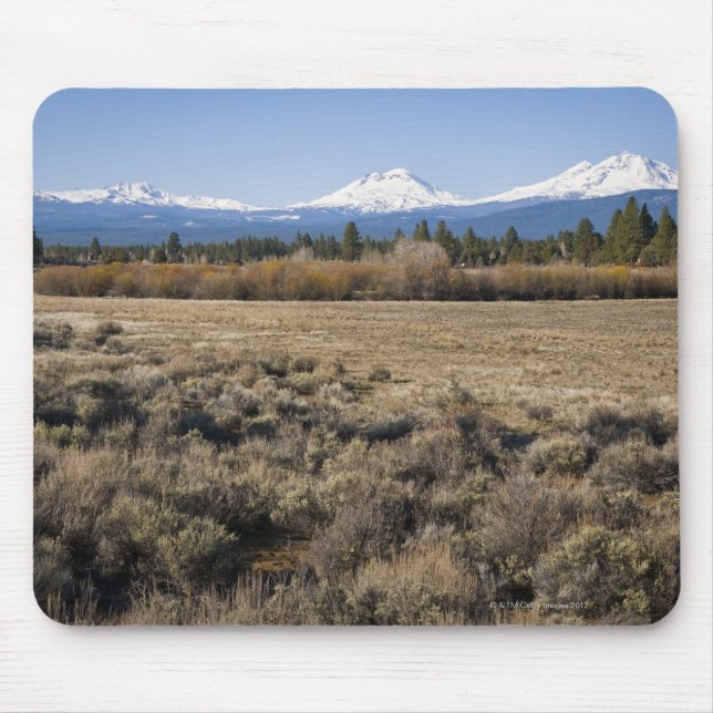 USA, Oregon, Field with snow covered Cascade Mouse Pad (Front)