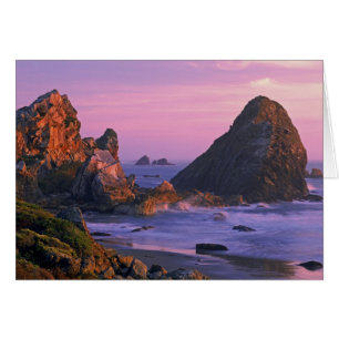 USA, Oregon, Harris State Beach, Brookings. 2