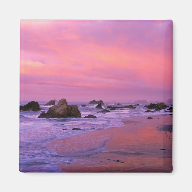 USA, Oregon, Harris State Beach, Brookings. Magnet (Front)