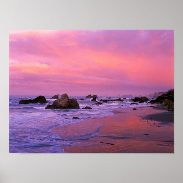 USA, Oregon, Harris State Beach, Brookings. Poster (Front)