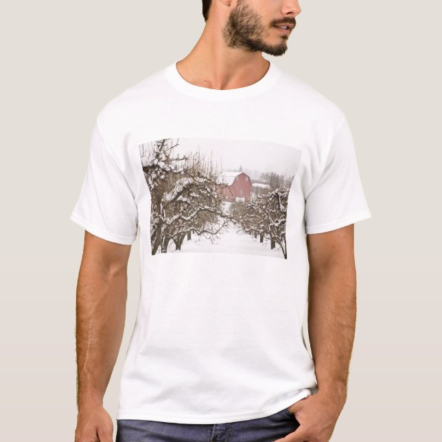 USA, Oregon, Hood River. Snow covered Apple T-Shirt (Front)