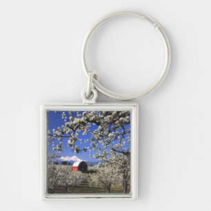 USA, Oregon, Hood River Valley, Pear orchard Keychain