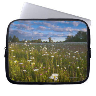 USA, Oregon, Marion County, Meadow with 2 Laptop Sleeve