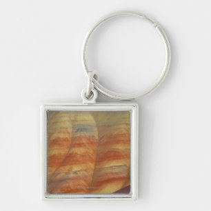 USA, Oregon, Mitchell, Painted Hills, Close-up Keychain
