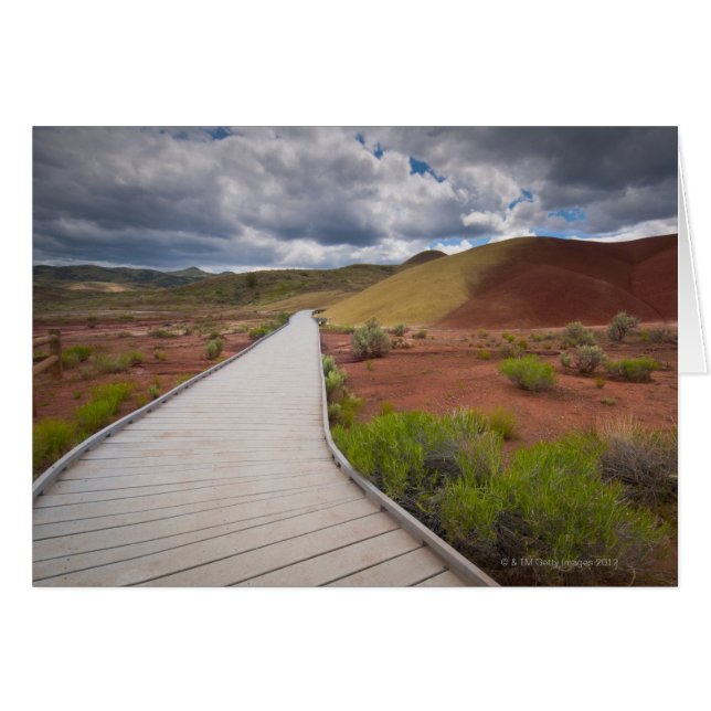 USA, Oregon, Mitchell, Pathway among Painted (Front Horizontal)
