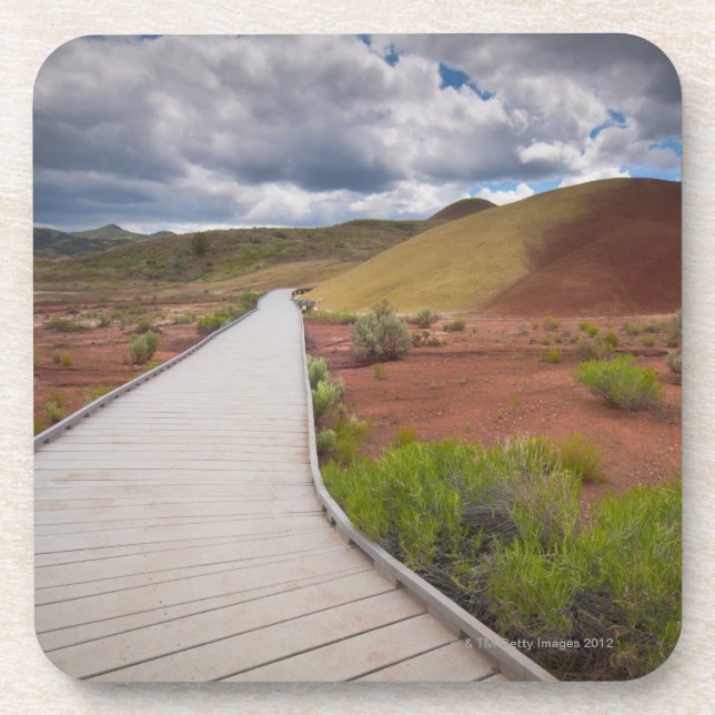 USA, Oregon, Mitchell, Pathway among Painted Coaster (Front)