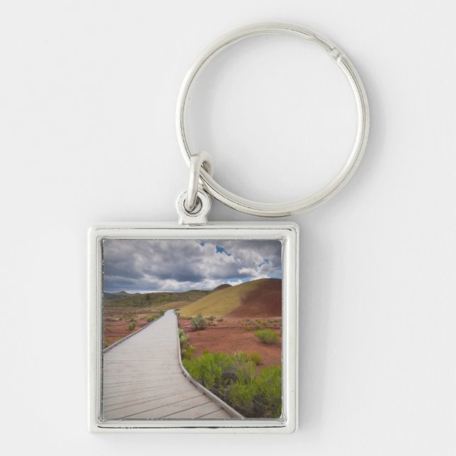 USA, Oregon, Mitchell, Pathway among Painted Keychain (Front)