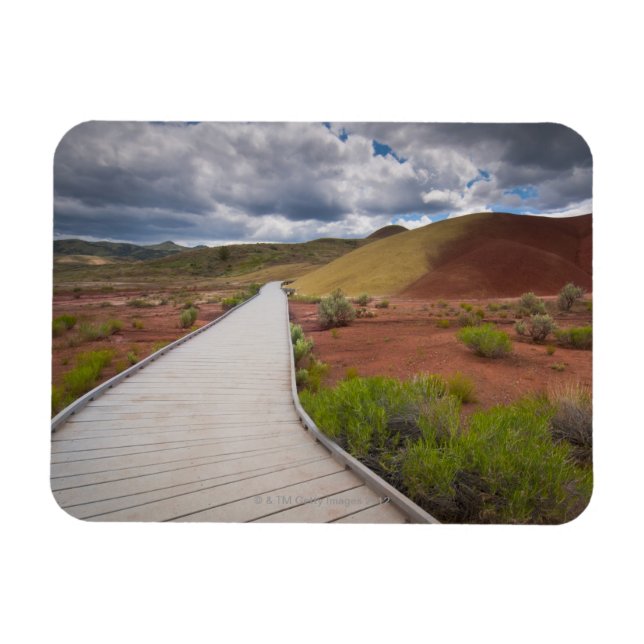 USA, Oregon, Mitchell, Pathway among Painted Magnet (Horizontal)