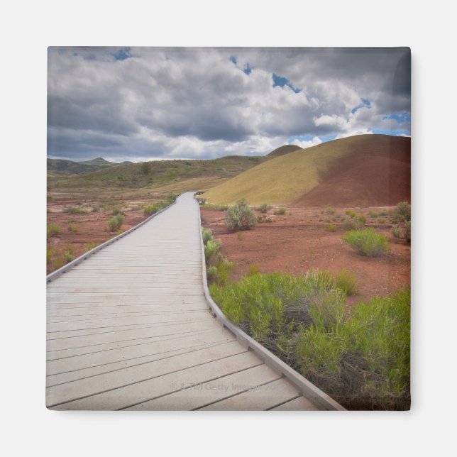 USA, Oregon, Mitchell, Pathway among Painted Magnet (Front)