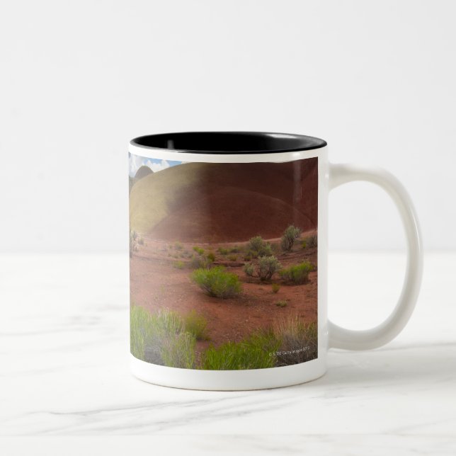 USA, Oregon, Mitchell, Pathway among Painted Two-Tone Coffee Mug (Right)