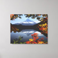 USA, Oregon, Mt. Hood National Forest.