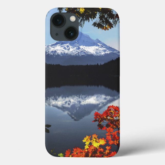 USA, Oregon, Mt. Hood National Forest. Case-Mate iPhone Case (Back)