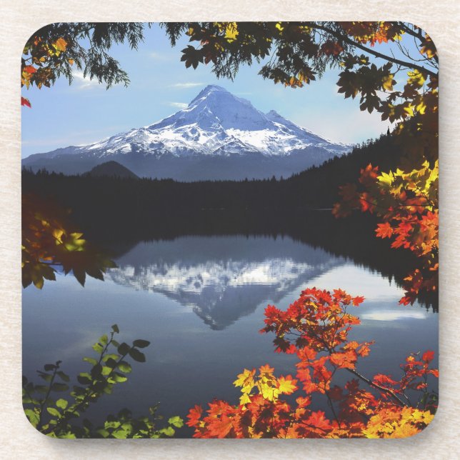 USA, Oregon, Mt. Hood National Forest. Coaster (Front)